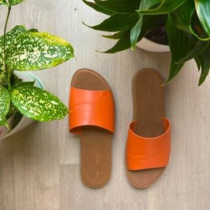 ARDENE SLIDES